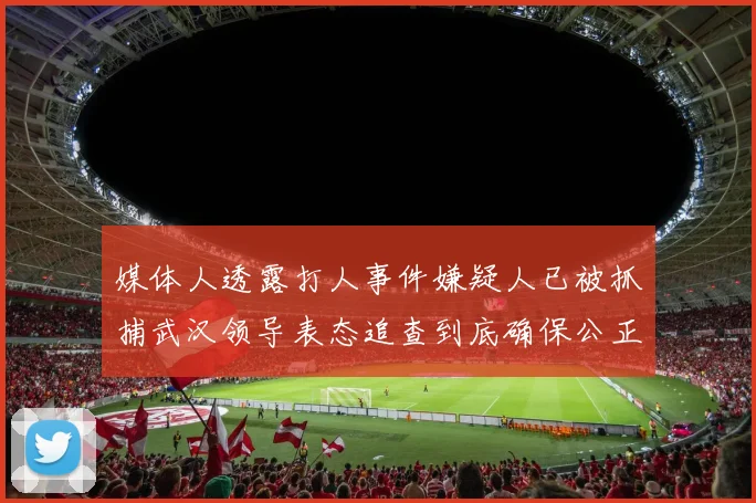 媒体人透露打人事件嫌疑人已被抓捕武汉领导表态追查到底确保公正处理